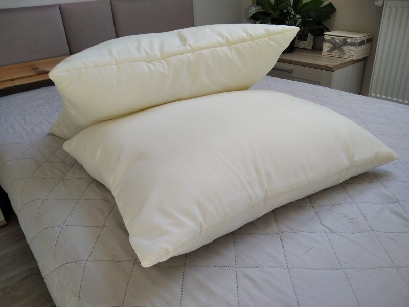 IMG_20220429_091845 IMG_20220429_091845