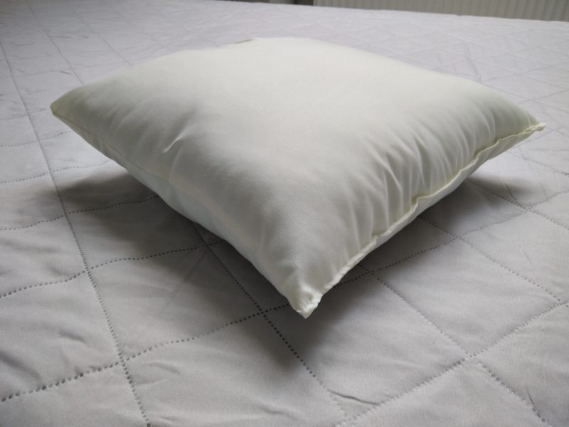 IMG_20220429_101230_1 IMG_20220429_101230_1